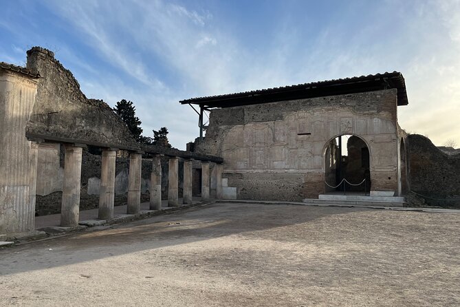 Full Day Private Tour to Pompeii, Herculaneum and Oplontis - Who this tour is best for