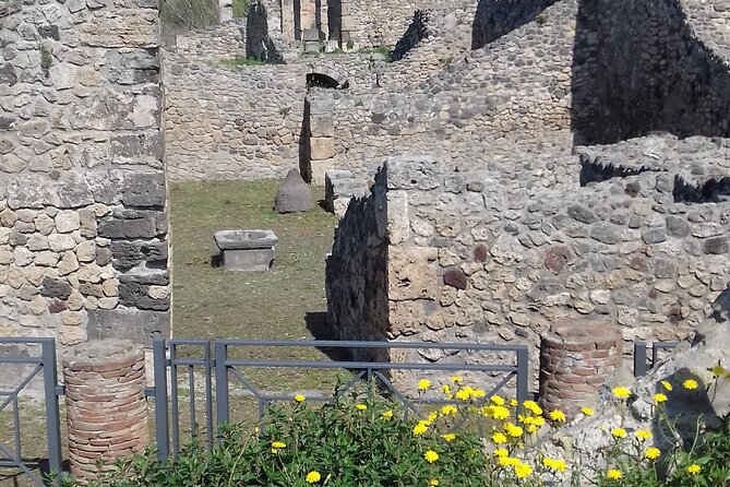 Full Day Tour Pompeii–Sorrento -Positano - Food and drinks: what you’ll pay for, and how to make it easy