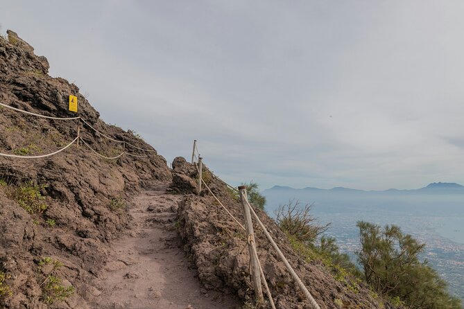 Full Day Tour to Pompeii, Vesuvius and Wine Tasting - Private Transport, English Comfort, and How to Pace the Day