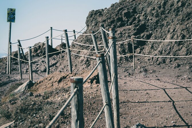 Full Day Tour to Pompeii, Vesuvius and Wine Tasting - Who This Tour Suits Best