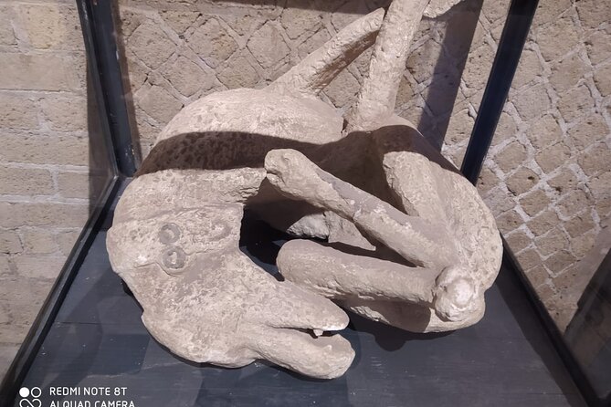 Guided Tours of Pompeii Excavations Historical and Cultural Itineraries - What you pay for: $57.62 in 4 hours (and what’s extra)
