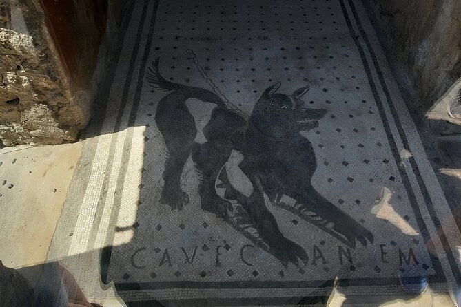 Guided Tours of Pompeii Excavations Historical and Cultural Itineraries - Should you book this Pompeii guided tour?