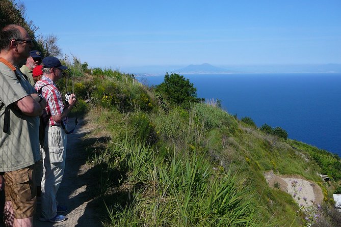 Half-day east coast hike in Ischia island with pick-up - La Scarrupata and the Wild Quiet of Ischia