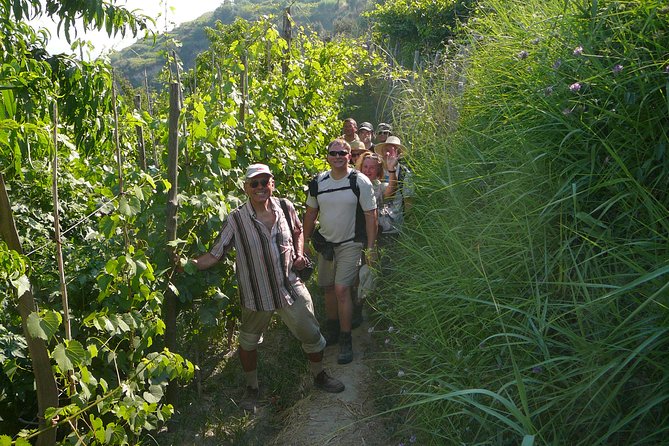 Half-day east coast hike in Ischia island with pick-up - Castello Aragonese Views and Campagnano’s Ceramic Church Face