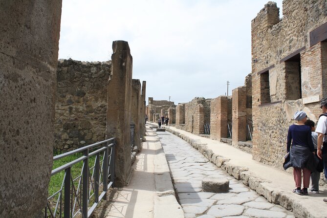 Half-Day Exclusive Private Tour of Pompeii and Herculaneum - Price and Value: Is This Worth $4,655.67 Per Person?