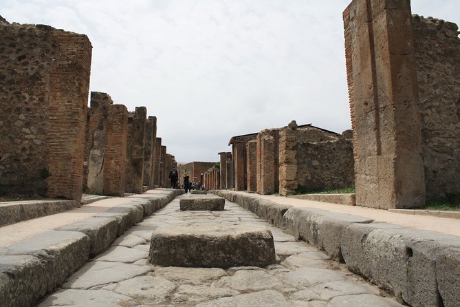 Half-Day Exclusive Private Tour of Pompeii and Herculaneum - Who Should Book This Tour, and Who Might Skip It