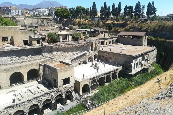 Half Day Excursion to Herculaneum from Naples with Lunch - Parco Acheologico di Ercolano: what you’ll actually do there