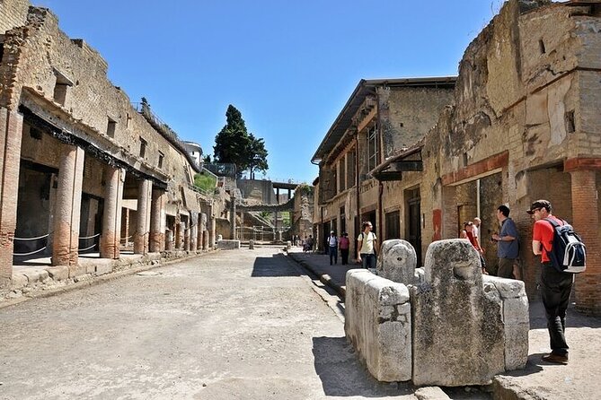 Half Day Excursion to Herculaneum from Naples with Lunch - Back to Naples: a quick return that respects your time