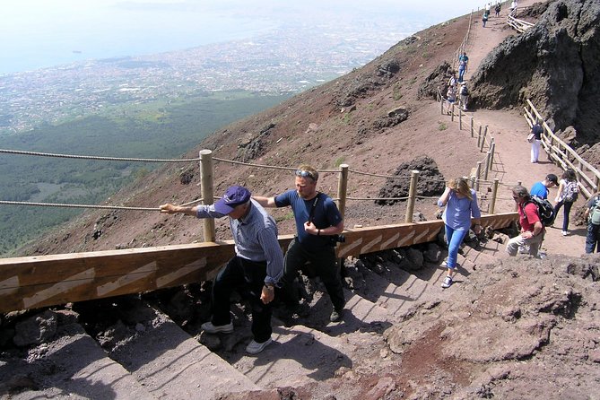 Half-Day Trip to Mt. Vesuvius from Naples - Vineyard Wine Tasting and How It Fits the Half-Day Schedule