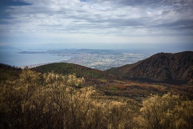 Half-Day Vesuvius Drive and Summit Hike from Naples with Lunch - Getting Into Vesuvius National Park: Tickets, Time Slots, And Your Best Move