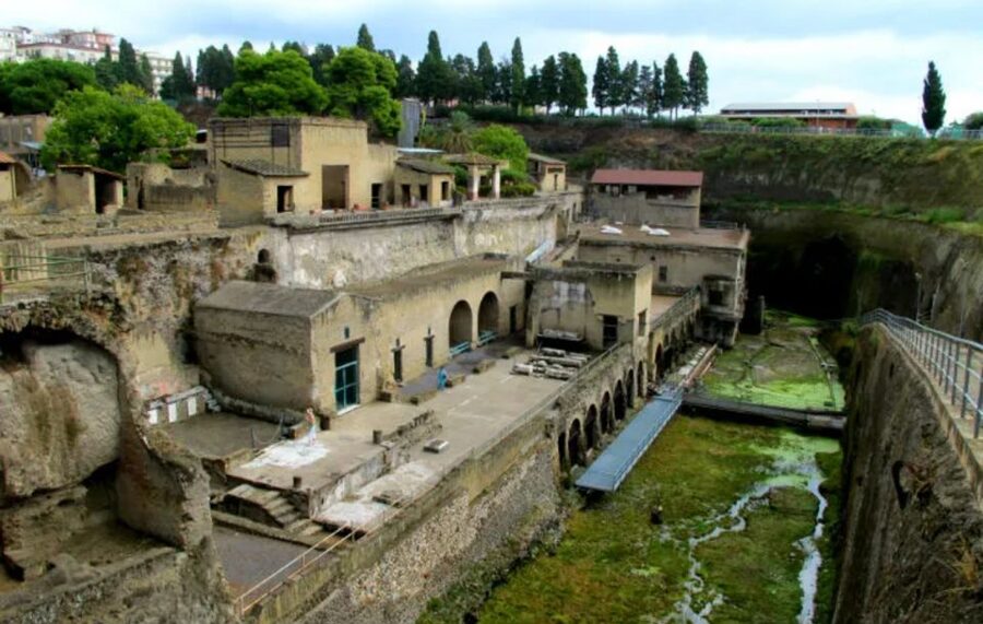 Herculaneum: 2hour Shared Guided Tour + entry tickets - Preserved Town Streets and the Feeling of Time Stopping