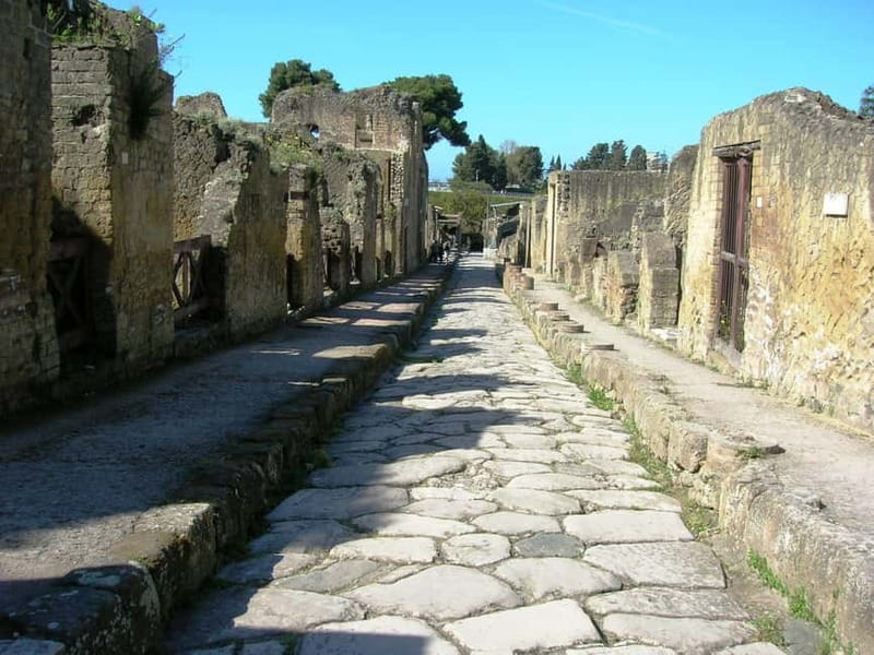 HERCULANEUM AND VESUVIUS: PRESTIGE TOUR FROM NAPLES - Audio guide plus assistant: how to get more than the highlights