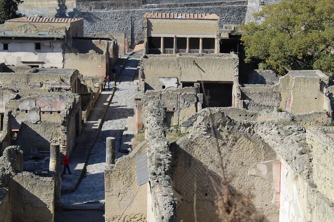 Herculaneum Private Guided Tour Led by a Local Top-rated Guide - All inclusive - Amphitheater, streets, and why Herculaneum survived so clearly