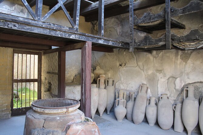 Herculaneum Private Guided Tour Led by a Local Top-rated Guide - All inclusive - Price and value: what $207.11 per person buys you