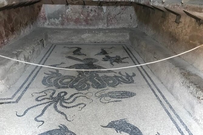 Herculaneum - Private Tour (skip-the-line admission included) - What Makes the Private Format Feel Quieter