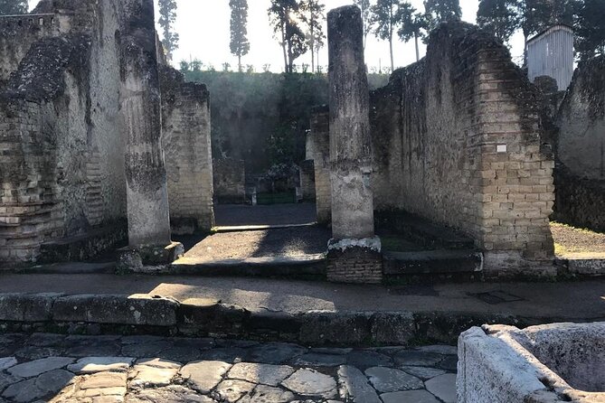 Herculaneum - Private Tour (skip-the-line admission included) - Price and Value, What You’re Paying For