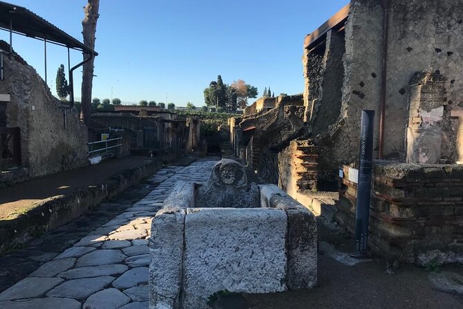 Herculaneum - Private Tour (skip-the-line admission included) - Planning Tips So Your Visit Feels Easy