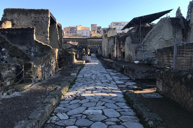 Herculaneum - Private Tour (skip-the-line admission included) - Skip-the-Line Admission at Parco Acheologico di Ercolano