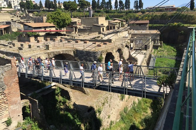 Herculaneum Private Walking Guided Tour 2 hours - The eruption lesson: why mud preservation matters so much