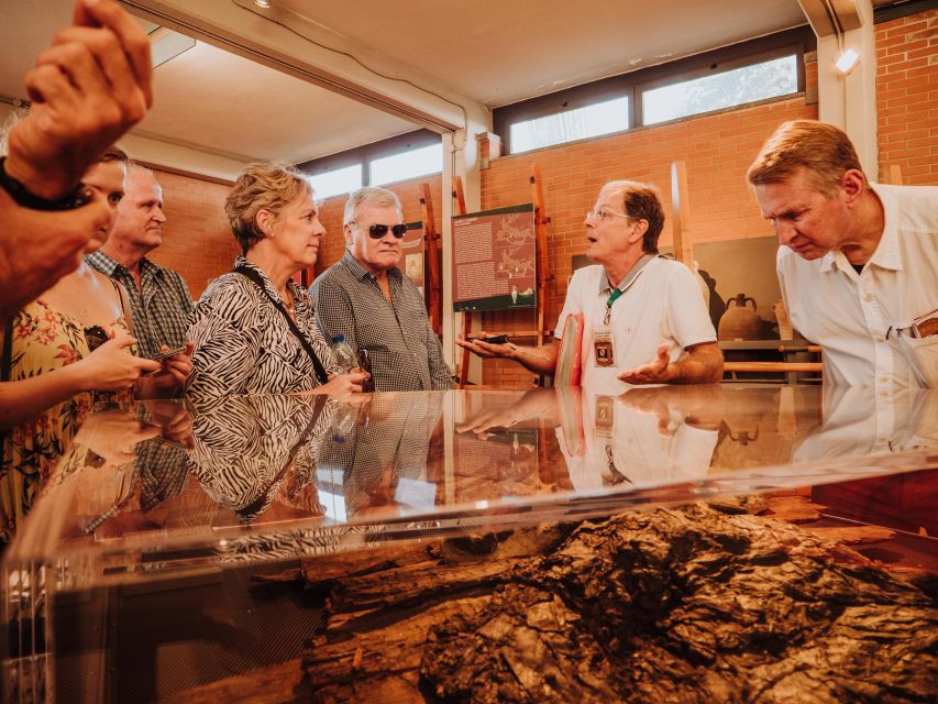 Herculaneum: Private Walking Tour with Archeologist Guide - Getting an Archeologist Guide, Not Just a Script