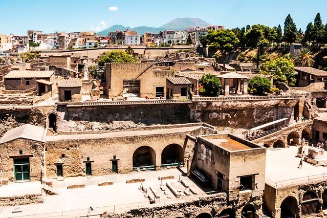 Herculaneum Ruins Private Half-Day Tour - Private pickup from Naples and Sorrento, done the easy way