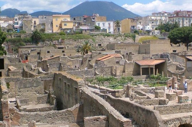 Herculaneum Ruins Private Half-Day Tour - Cruise-ship day friendly, with clear meeting points