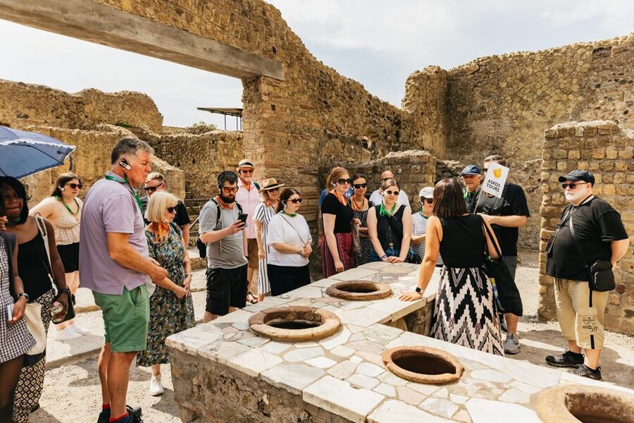 Herculaneum: Skip-the-Line Guided Tour with Archaeologist - Who should book this tour?