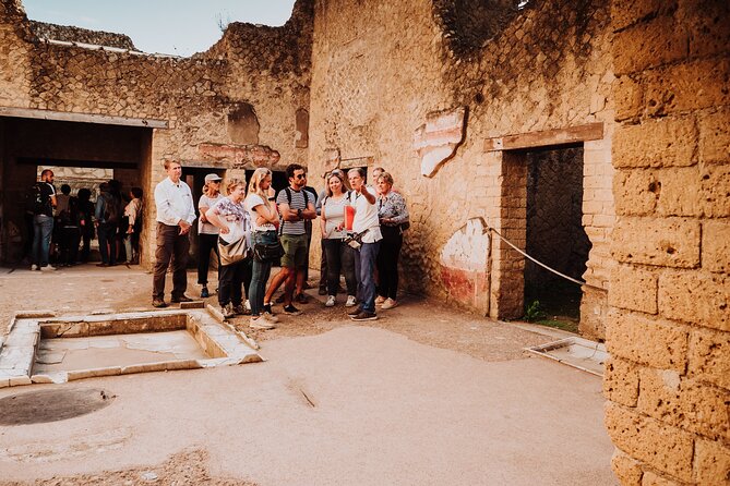 Herculaneum Small Group Tour and Ticket With an Archaeologist - Price and value: what you are really paying for