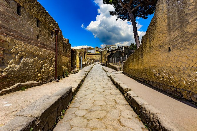Herculaneum small group tour with an archaeologist - skip the line - Pace, group size, and how to get the most out of 2 hours