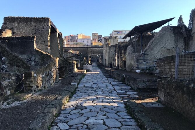 Herculaneum - Small Group Tour - Public baths, shops, and the main street routine