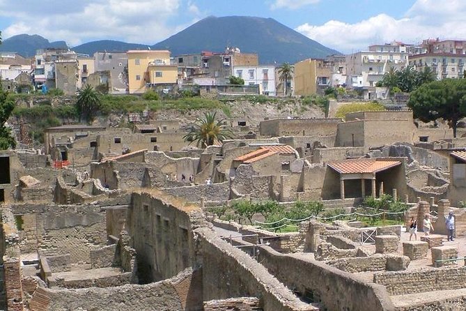 Herculaneum walking tour with a professional Guide - Herculaneum in 2 hours, why this site works better than Pompeii for many days