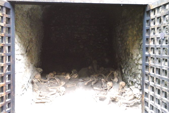 Herculanium guided tour - Roman art and materials you’ll actually know how to spot
