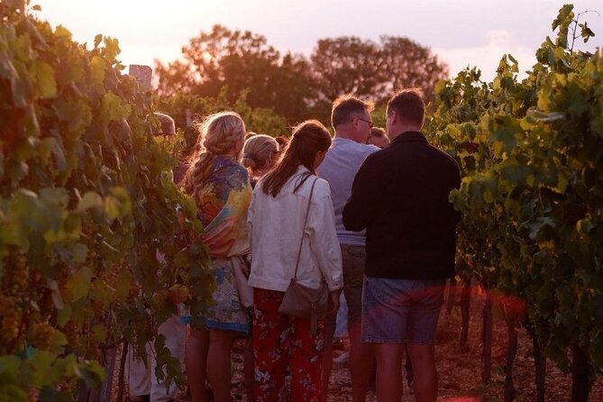History & Local Wines: Amphitheater, Mitrium and Winery Visit - Price and value: is $868.20 per person reasonable here?