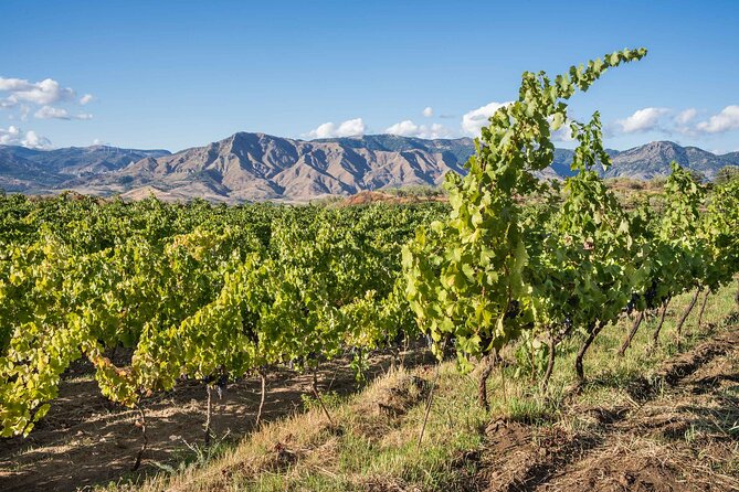 History & Local Wines: Amphitheater, Mitrium and Winery Visit - Weather and timing: the one thing that can change your day