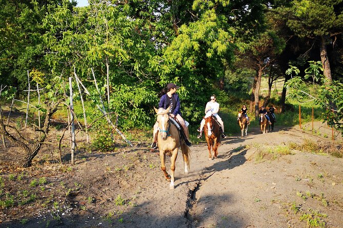 Horseback Riding on Vesuvius - Pairing With Pompeii: How to Slot This Into Your Day