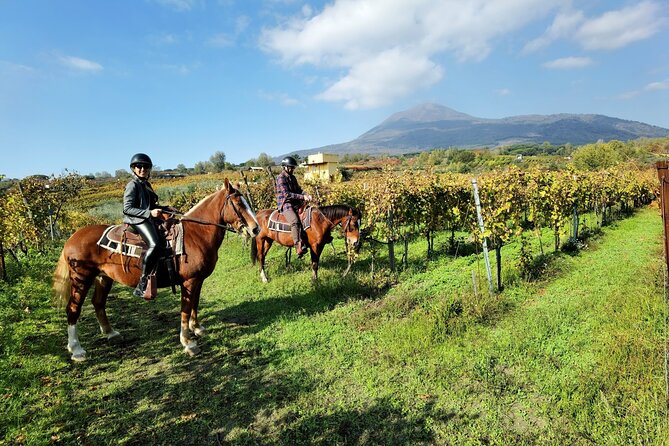 Horseback Riding on Vesuvius - The 500-Meter Ride: What You’ll See and Why It’s Special