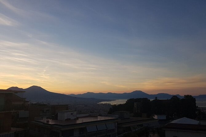 Make Neapolitan Pizza With A View Of Naples - Who should book this pizza class