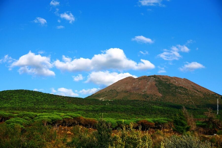 Mount Vesuvius 4-Hour Volcano Tour with Wine Tasting - Price and value, is $81.57 worth it