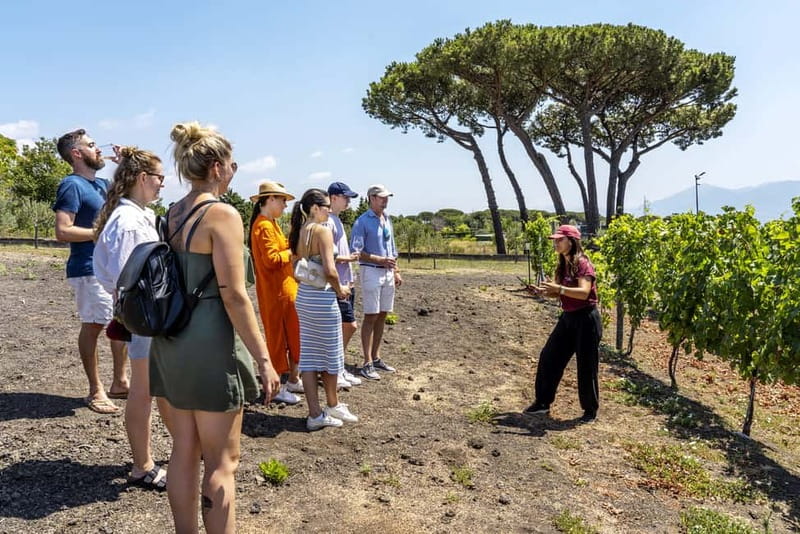 Mount Vesuvius: 5 Wine Tastings with Tour & Lunch Included - Key things I’d circle on your map