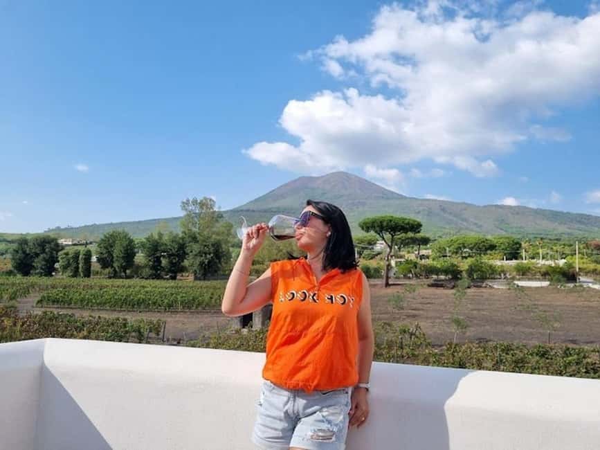 Mount Vesuvius: 5 Wine Tastings with Tour & Lunch Included - The vineyard walk: views, slopes, and why volcanic soil changes everything