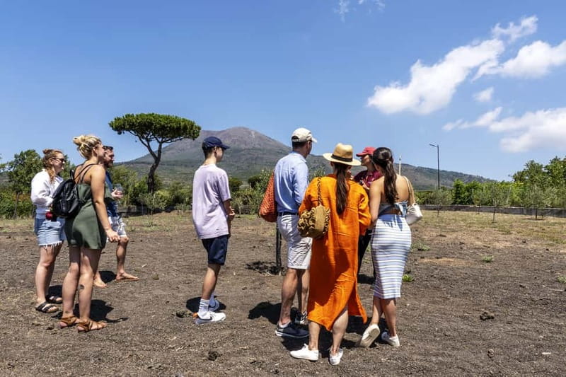 Mount Vesuvius: 5 Wine Tastings with Tour & Lunch Included - Cellar tour from grape to bottle: the production story behind the flavors