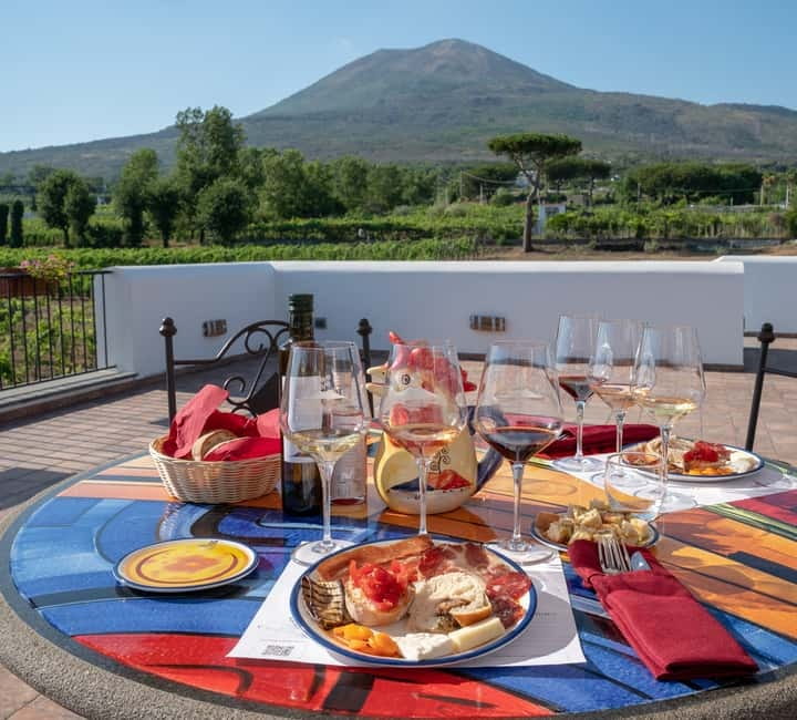 Mount Vesuvius: 5 Wine Tastings with Tour & Lunch Included - Vegetarian and allergy needs: what to do before you go