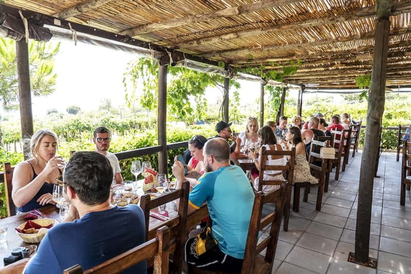 Mount Vesuvius: 5 Wine Tastings with Tour & Lunch Included - Small group format: why max 10 changes the feel