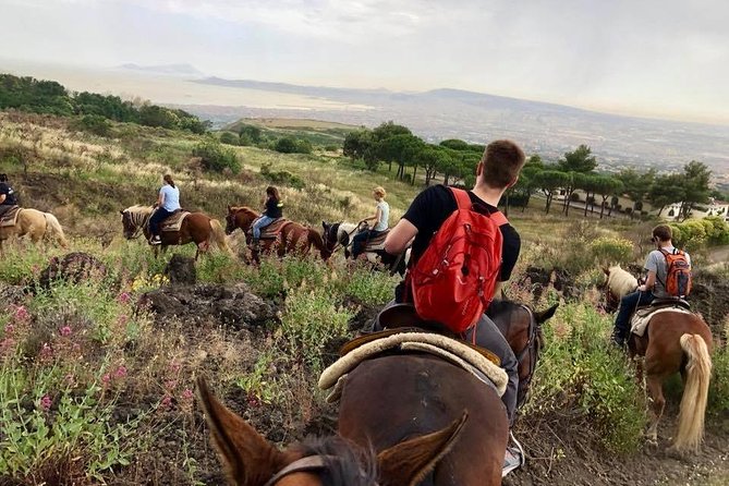 Mount Vesuvius Guided Horse Riding Tour with Sample Wine - The Guide Experience: Roberto and Antonia Matter