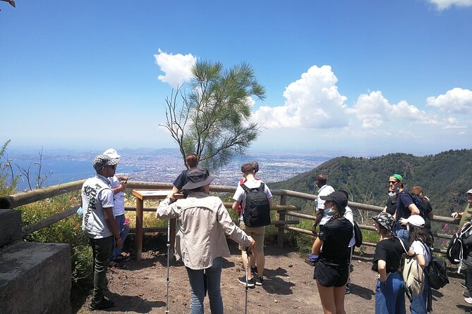 Mount Vesuvius Shore Tour, Pompeii & Winery Vesuvius Winery - Vesuvius National Park: Crater Views Over Naples and the Sorrento Coast