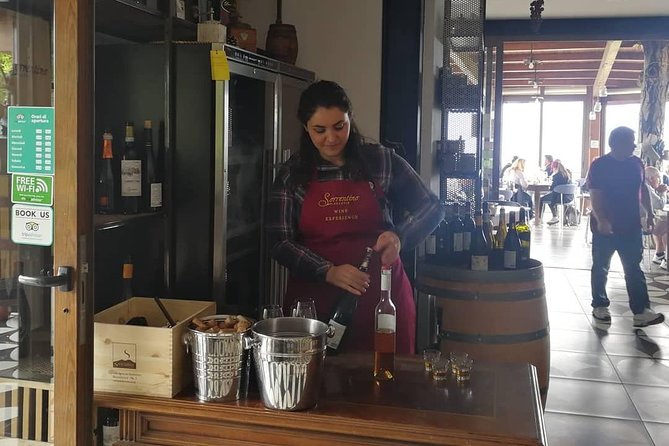Mount Vesuvius Shore Tour, Pompeii & Winery Vesuvius Winery - Who This Tour Fits Best (and Who Might Want Another Plan)