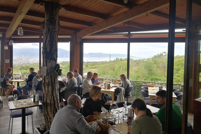 Mount Vesuvius Shore Tour, Pompeii & Winery Vesuvius Winery - Pompeii’s Ruins, and Why the Guide Time Changes Everything