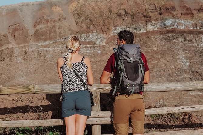 Mount Vesuvius Skip the Line Ticket + Multilingual Audio Guide - Key points to know before you go