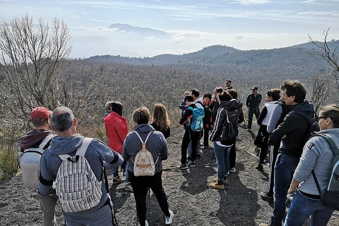 Mount Vesuvius tour by bus and ticket included from Ercolano - Getting to the Gran Cono: what the ride and start actually feel like