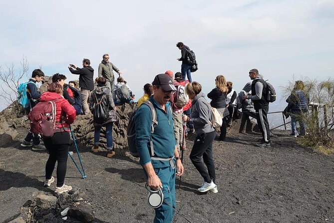 Mount Vesuvius tour by bus and ticket included from Ercolano - Crater-rim views: what you should expect when it’s time to look down